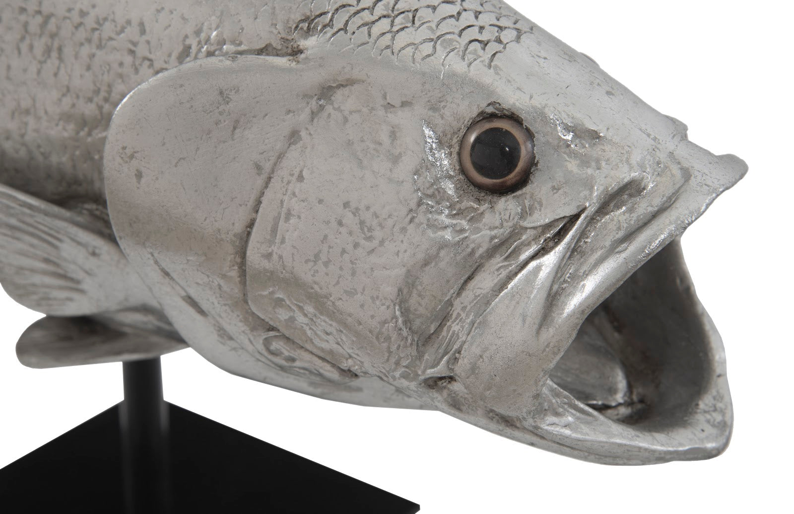 Phillips Collection Home Phillips Collection Large Mouth Bass Fish, with Stand