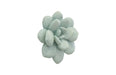 Phillips Collection Home Phillips Collection Laui Succulent Wall Art, Sage