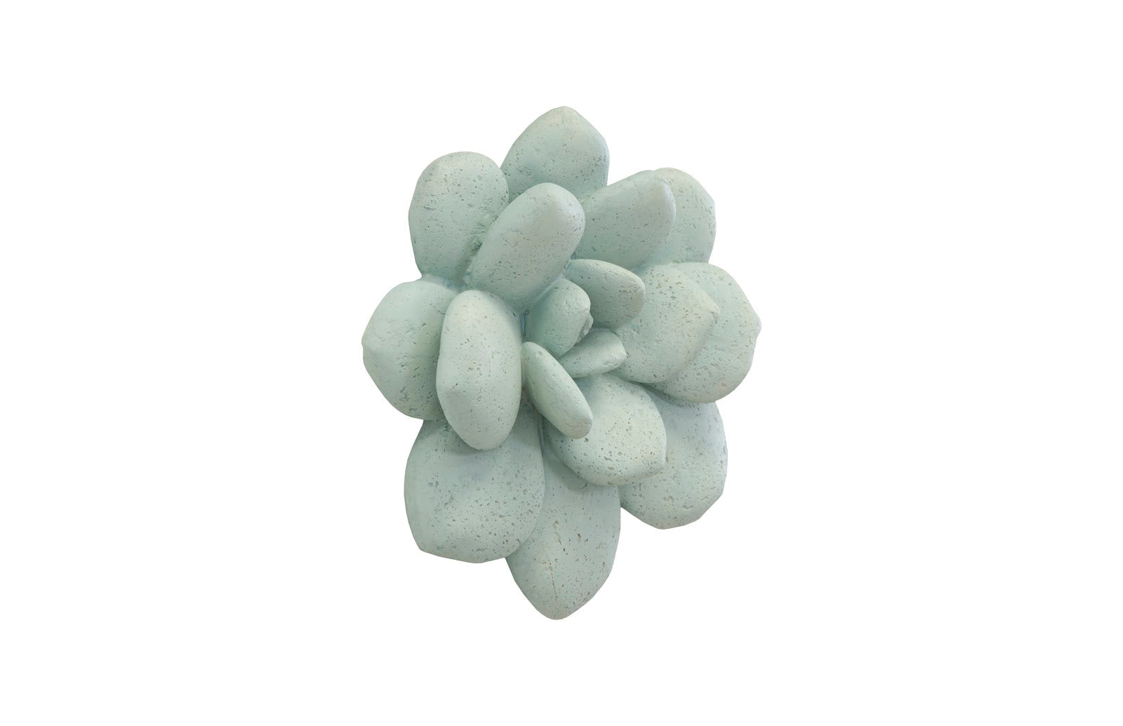 Phillips Collection Home Phillips Collection Laui Succulent Wall Art, Sage