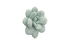 Phillips Collection Home Phillips Collection Laui Succulent Wall Art, Sage