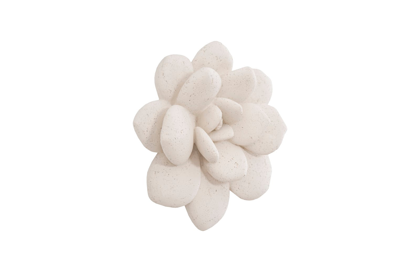 Phillips Collection Home Phillips Collection Laui Succulent Wall Art, White Stone