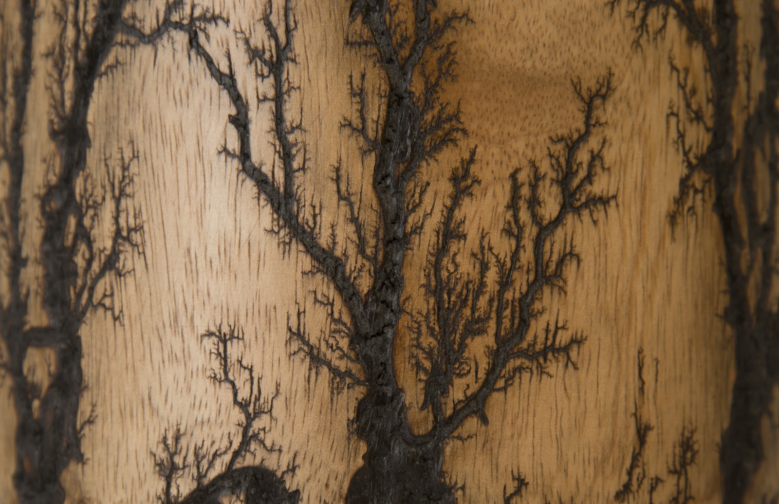 Phillips Collection Home Phillips Collection Lightning Vase, Mango Wood, Cup Shape