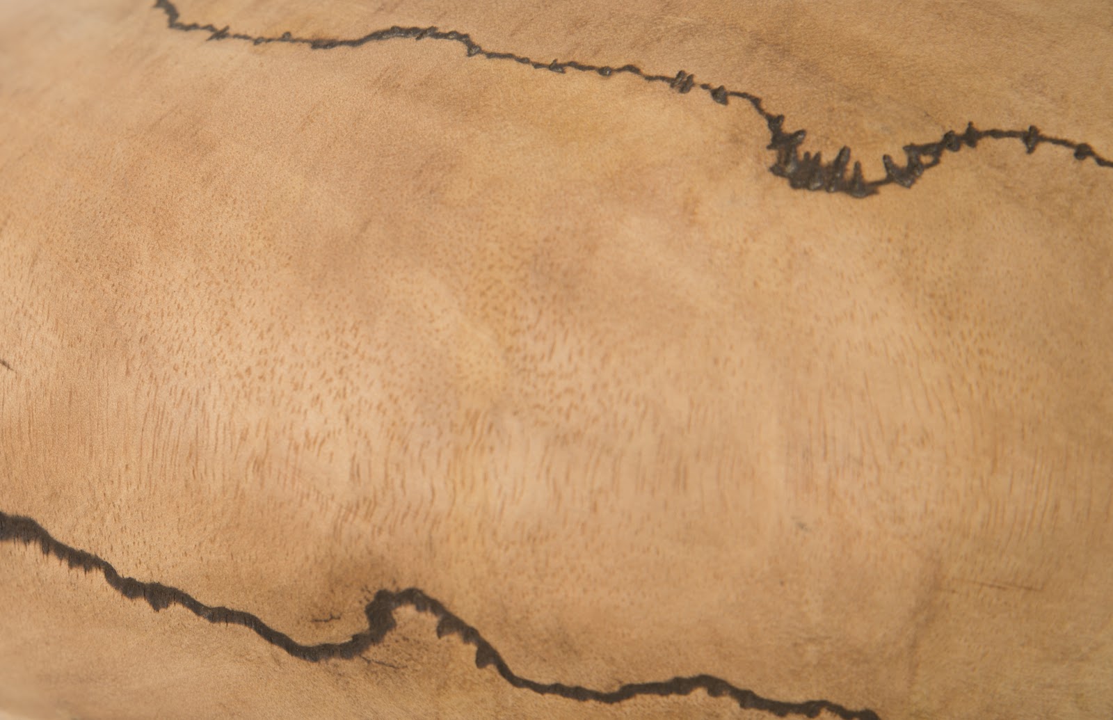 Phillips Collection Home Phillips Collection Lightning Vase, Mango Wood, Low 13"-14"Dia