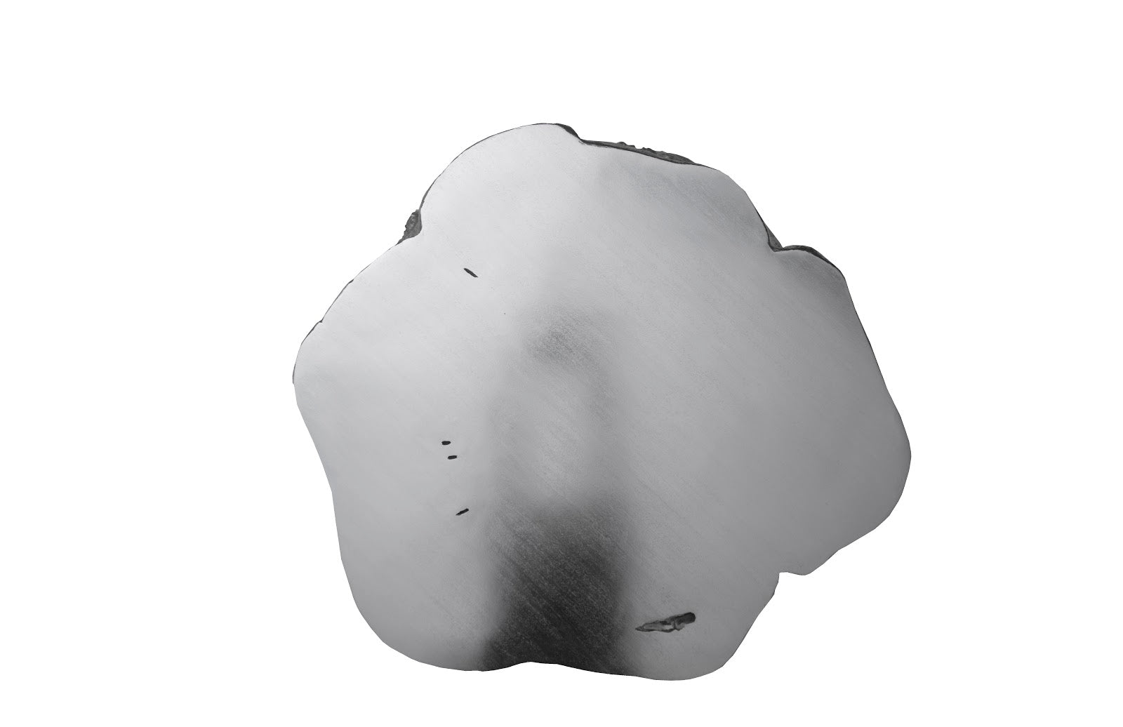 Phillips Collection Home Oversized LTL - Rate to be Quoted Phillips Collection Log Coffee Table, Silver Leaf