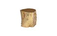 Phillips Collection Home Phillips Collection Log Stool, Gold Leaf, LG