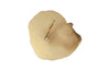 Phillips Collection Home Phillips Collection Log Stool, Gold Leaf, LG