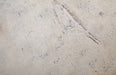 Phillips Collection Home Phillips Collection Log Stool, Roman Stone, LG