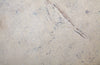 Phillips Collection Home Phillips Collection Log Stool, Roman Stone, LG
