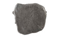 Phillips Collection Home Phillips Collection Log Wall Tile, Silver Leaf