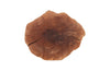 Phillips Collection Home Phillips Collection Longan Wood Stool, Assorted Size and Shapes