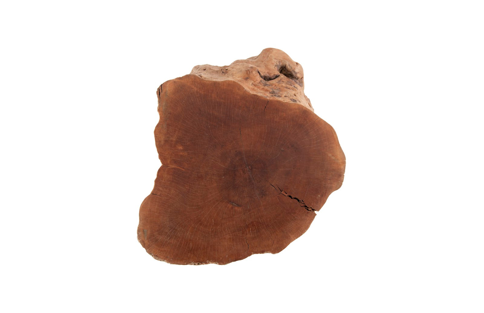 Phillips Collection Home Phillips Collection Longan Wood Stool, Assorted Size and Shapes