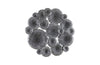 Phillips Collection Home Phillips Collection Lotus Collage, Round, Metal, Silver/Black