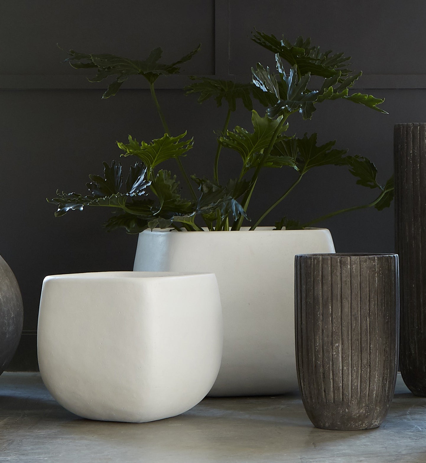 Phillips Collection Home Phillips Collection Lourdes Planter, Medium, Gray