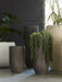 Phillips Collection Home Phillips Collection Lourdes Planter, Medium, Gray