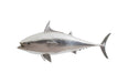 Phillips Collection Home Phillips Collection Mackerel Fish Wall Sculpture, Resin, Silver Leaf