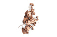 Phillips Collection Home Phillips Collection Orchid Sprig Wall Art, Medium, Metal, Copper/Black