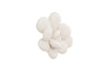 Phillips Collection Home Phillips Collection Oviferum Succulent Wall Art , White Stone