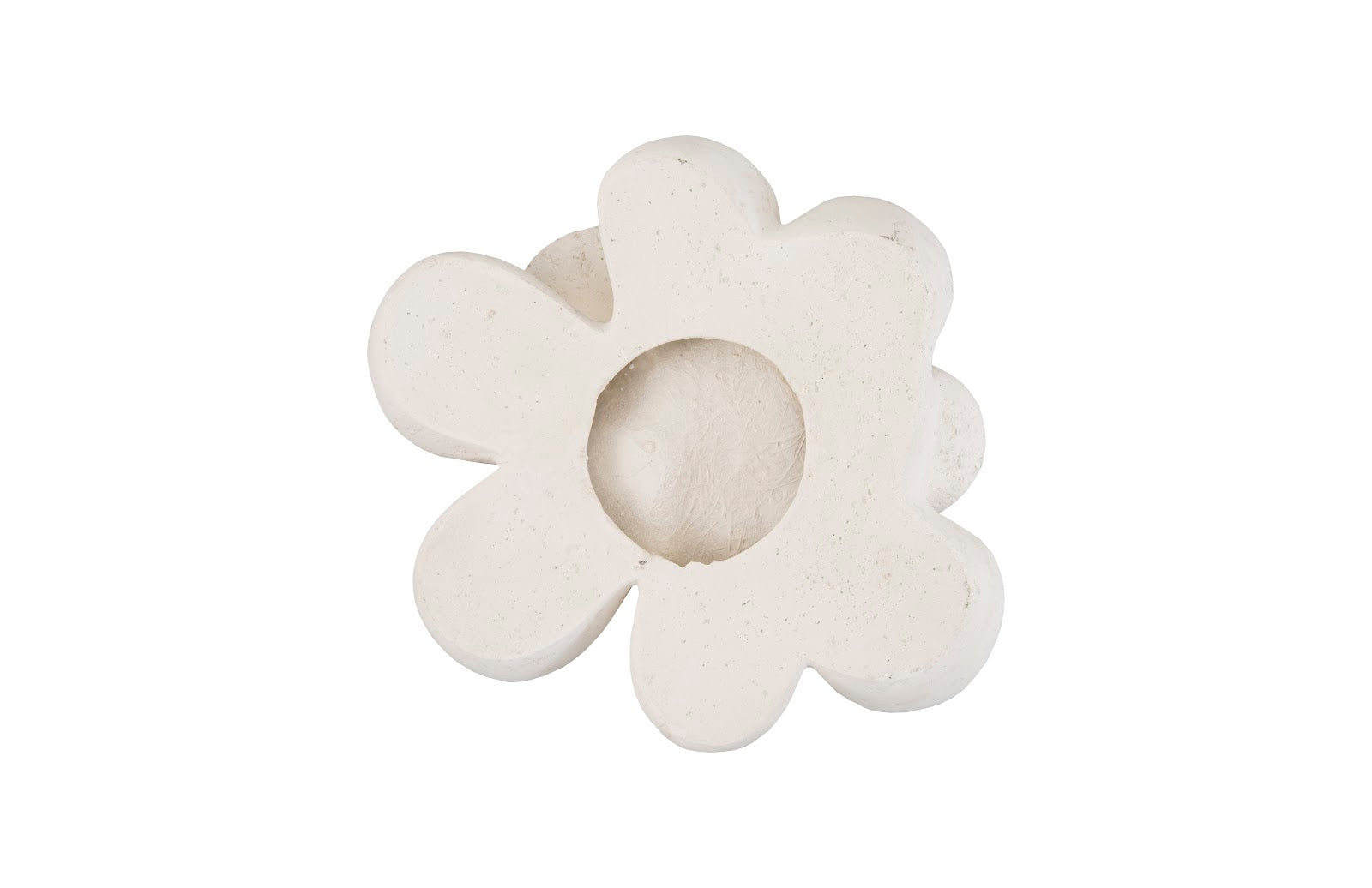 Phillips Collection Home Phillips Collection Oviferum Succulent Wall Art , White Stone