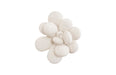 Phillips Collection Home Phillips Collection Oviferum Succulent Wall Art , White Stone