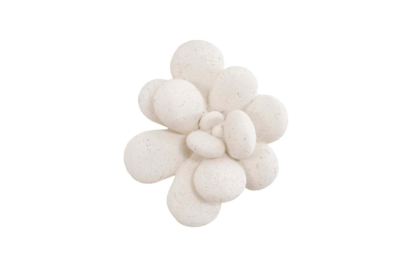 Phillips Collection Home Phillips Collection Oviferum Succulent Wall Art , White Stone
