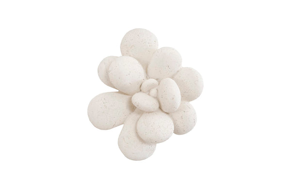 Phillips Collection Home Phillips Collection Oviferum Succulent Wall Art , White Stone