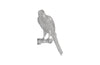 Phillips Collection Home Phillips Collection Parrot Looking Left Wall Art, Resin, Silver Leaf