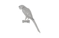 Phillips Collection Home Phillips Collection Parrot Looking Left Wall Art, Resin, Silver Leaf