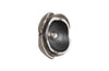 Phillips Collection Home Phillips Collection Pen Shell Wall Art
