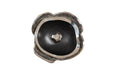 Phillips Collection Home Phillips Collection Pen Shell Wall Art