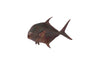 Phillips Collection Home Phillips Collection Permit Fish Wall Sculpture, Resin, Copper Patina Finish