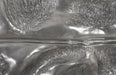 Phillips Collection Home Oversized LTL - Rate to be Quoted Phillips Collection Petiole Wall Leaf, Liquid Silver, Colossal, Version B