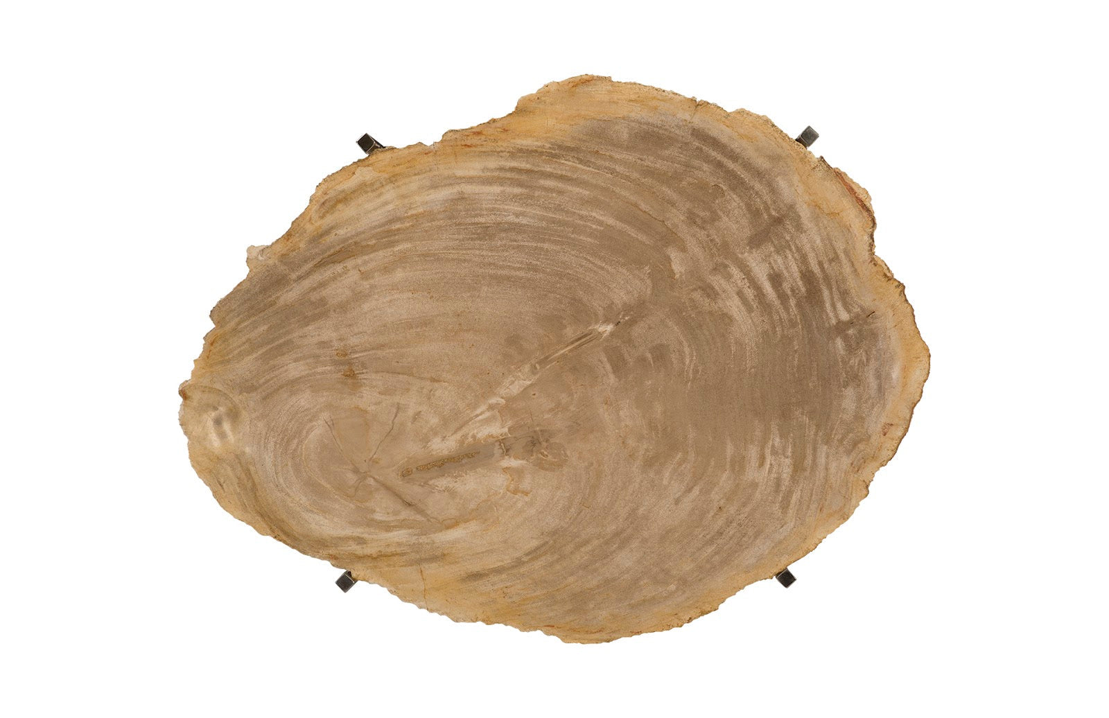 Phillips Collection Home Phillips Collection Petrified Wood Tray, Stainless Steel Base, Assorted Styles and Sizes