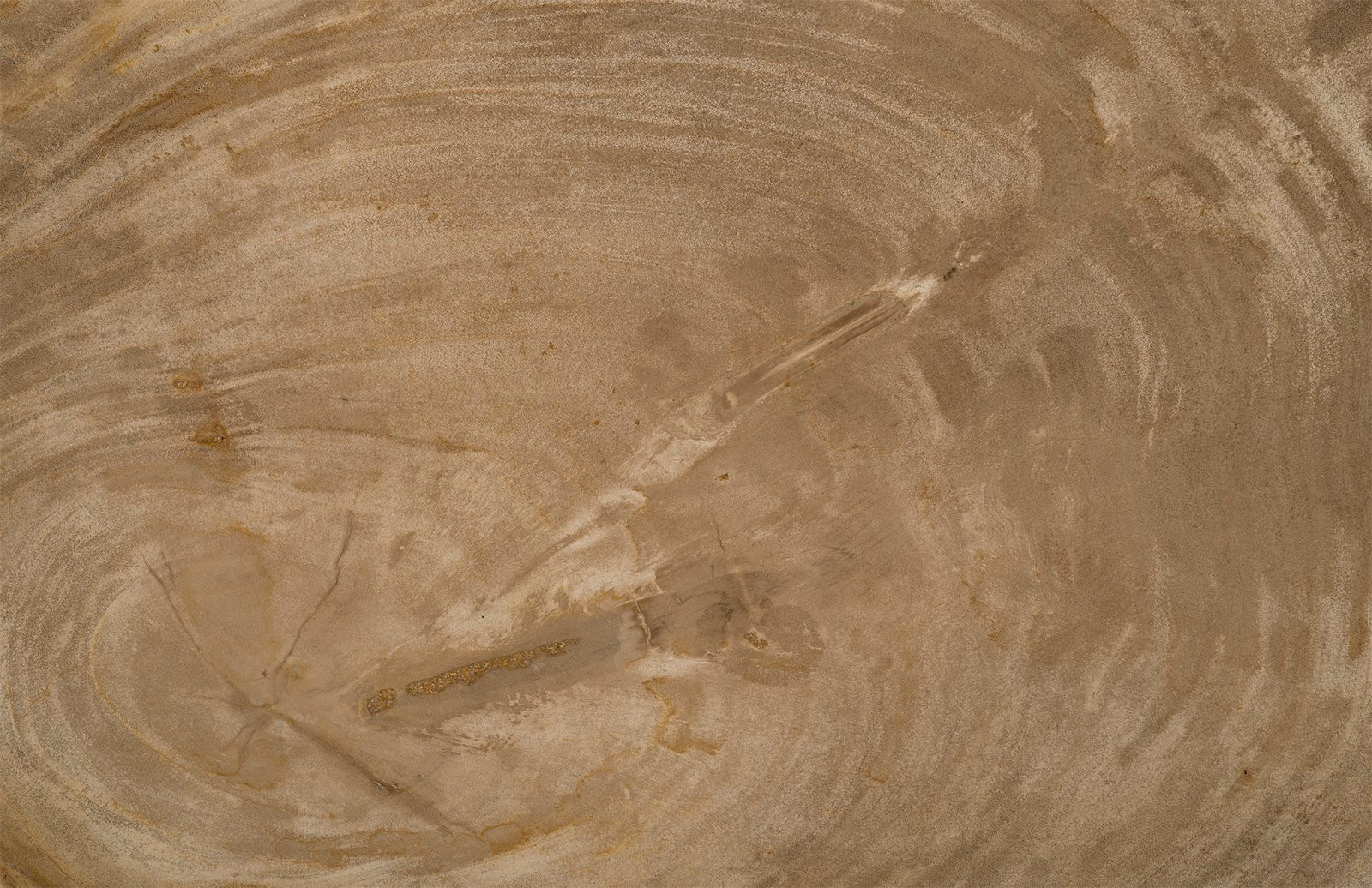 Phillips Collection Home Phillips Collection Petrified Wood Tray, Stainless Steel Base, Assorted Styles and Sizes