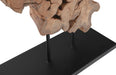 Phillips Collection Home Oversized LTL - Rate to be Quoted Phillips Collection Pipal Wood Sculpture