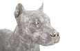 Phillips Collection Home Phillips Collection Pit Bull, Dog, Silver Leaf