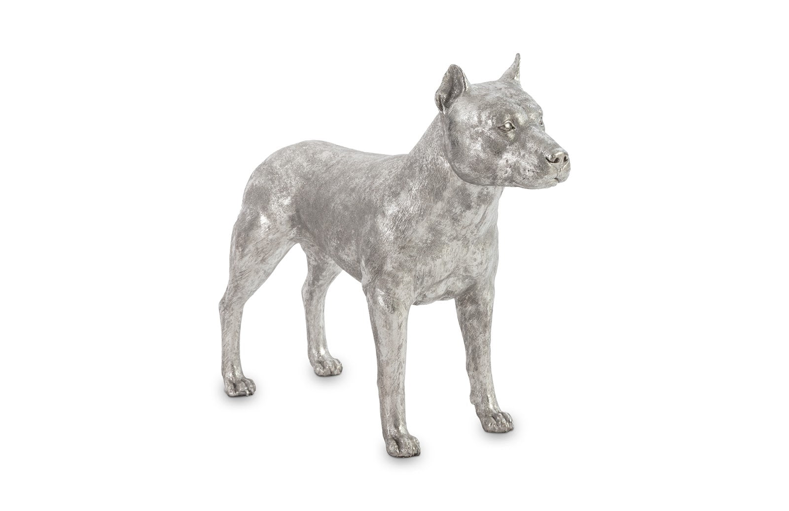 Phillips Collection Home Phillips Collection Pit Bull, Dog, Silver Leaf
