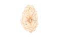 Phillips Collection Home Phillips Collection Poppy Flower Wall Art, Copper, LG