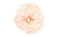 Phillips Collection Home Phillips Collection Poppy Flower Wall Art, Copper, LG
