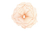 Phillips Collection Home Phillips Collection Poppy Flower Wall Art, Copper, LG