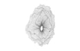 Phillips Collection Home Phillips Collection Poppy Flower Wall Art, Silver/Black, LG