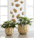 Phillips Collection Home Phillips Collection River Stone Wall Tile, Brass Finish, LG