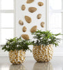Phillips Collection Home Phillips Collection River Stone Wall Tile, Brass Finish, LG