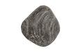 Phillips Collection Home Phillips Collection River Stone Wall Tile, Gray Stone, MD