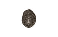 Phillips Collection Home Phillips Collection Rivulet Wall Tile, Chamcha Wood, Silver Leaf on Black
