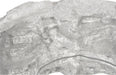 Phillips Collection Home Phillips Collection Rock Pond Mirror, Silver Leaf