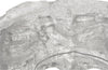 Phillips Collection Home Phillips Collection Rock Pond Mirror, Silver Leaf