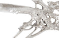 Phillips Collection Home Oversized LTL - Rate to be Quoted Phillips Collection Root Wall Art, Large, Silver Leaf