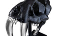 Phillips Collection Home Phillips Collection Saber Tooth Tiger Skull, Black
