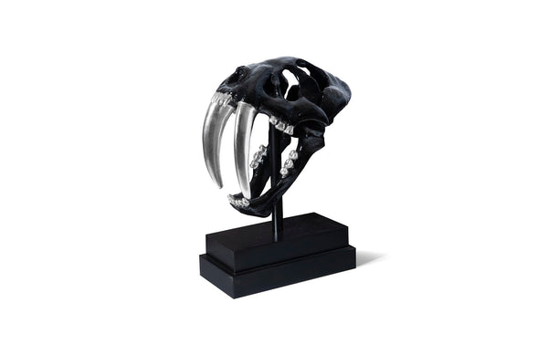 Phillips Collection Home Phillips Collection Saber Tooth Tiger Skull, Black
