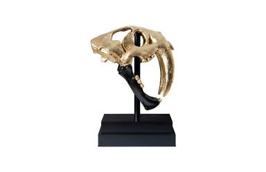 Phillips Collection Home Phillips Collection Saber Tooth Tiger Skull, Black, Gold Leaf